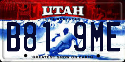 UT license plate B819ME