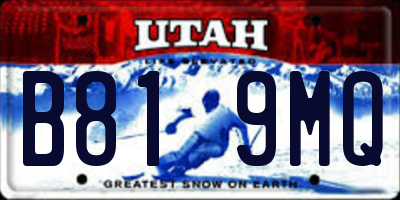 UT license plate B819MQ