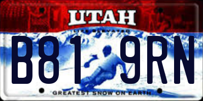 UT license plate B819RN