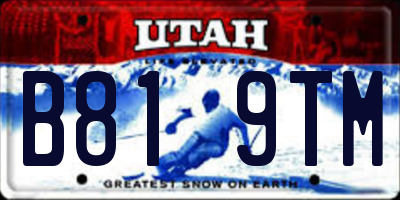 UT license plate B819TM
