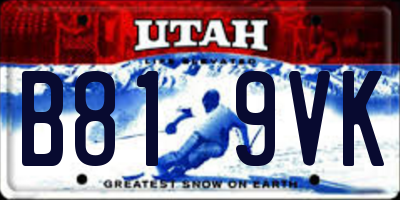UT license plate B819VK
