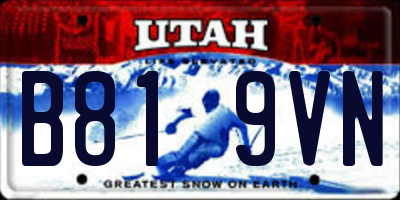 UT license plate B819VN