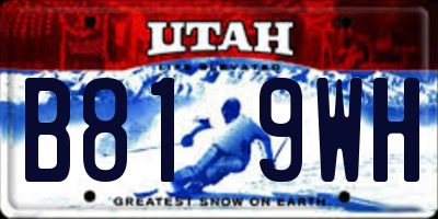 UT license plate B819WH