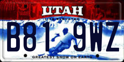 UT license plate B819WZ