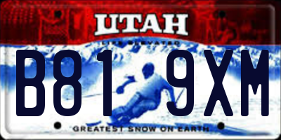 UT license plate B819XM