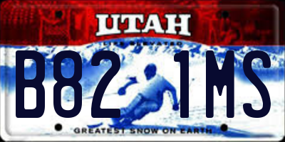 UT license plate B821MS