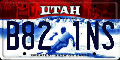UT license plate B821NS