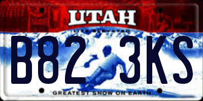 UT license plate B823KS