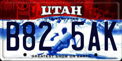 UT license plate B825AK