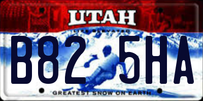 UT license plate B825HA