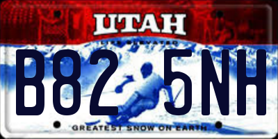 UT license plate B825NH