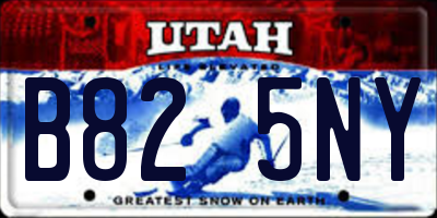 UT license plate B825NY