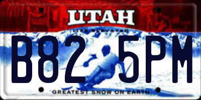 UT license plate B825PM