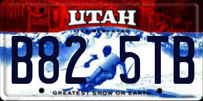 UT license plate B825TB