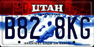 UT license plate B828KG
