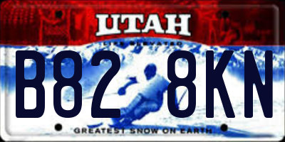 UT license plate B828KN
