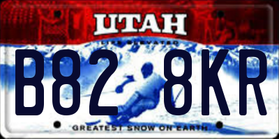 UT license plate B828KR