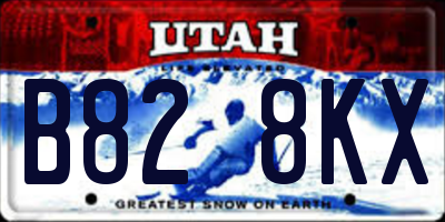 UT license plate B828KX
