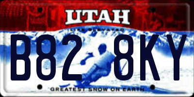 UT license plate B828KY