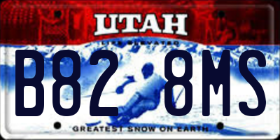 UT license plate B828MS