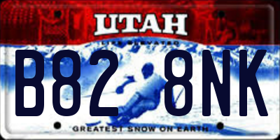 UT license plate B828NK