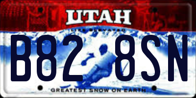 UT license plate B828SN