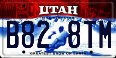 UT license plate B828TM