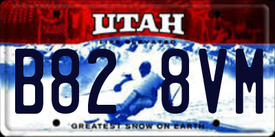 UT license plate B828VM