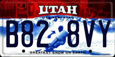 UT license plate B828VY