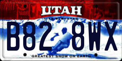 UT license plate B828WX