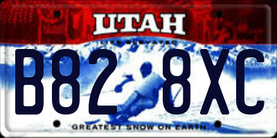 UT license plate B828XC