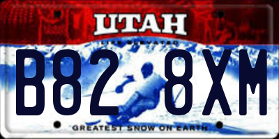UT license plate B828XM