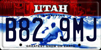 UT license plate B829MJ