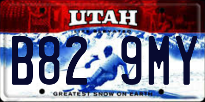 UT license plate B829MY