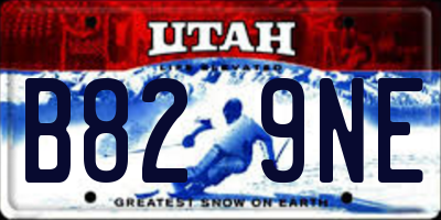 UT license plate B829NE