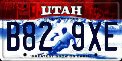 UT license plate B829XE