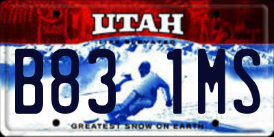 UT license plate B831MS