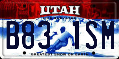 UT license plate B831SM