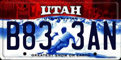 UT license plate B833AN