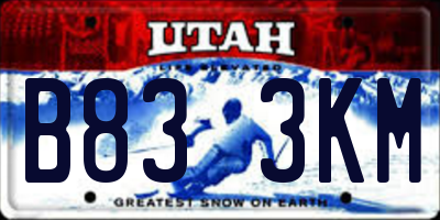 UT license plate B833KM