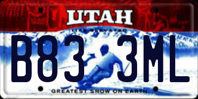 UT license plate B833ML