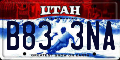UT license plate B833NA