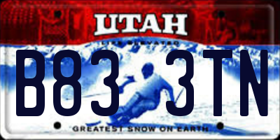 UT license plate B833TN