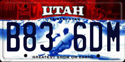 UT license plate B836DM