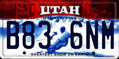 UT license plate B836NM