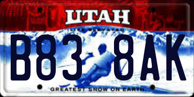 UT license plate B838AK
