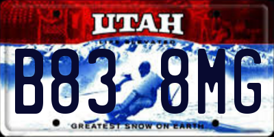 UT license plate B838MG