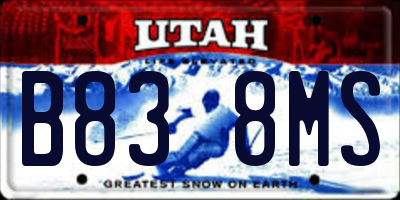 UT license plate B838MS