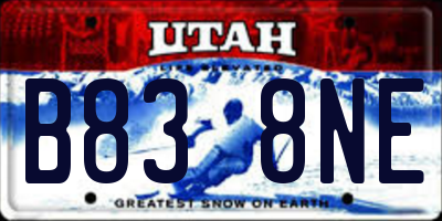 UT license plate B838NE