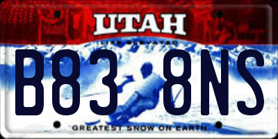 UT license plate B838NS